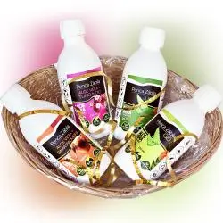 Lote Cesta 3 Jugos + Gel Aloe Vera puro 4x250ml