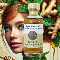 Oasis Ginger and Honey Liqueur GIN72 artisan 100ml