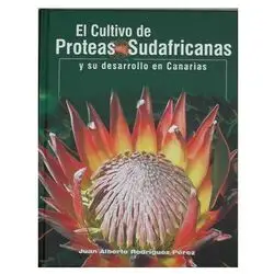 South African Proteas Anbau auf den Kanarischen Inseln